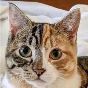 Meet your Posher, Jill